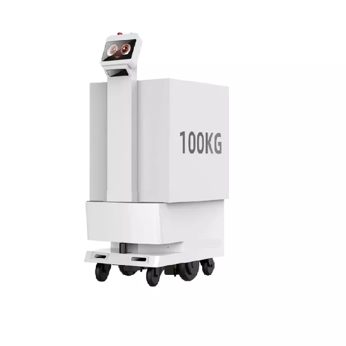 Delivery Robot